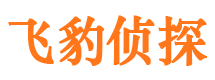 苏仙侦探公司